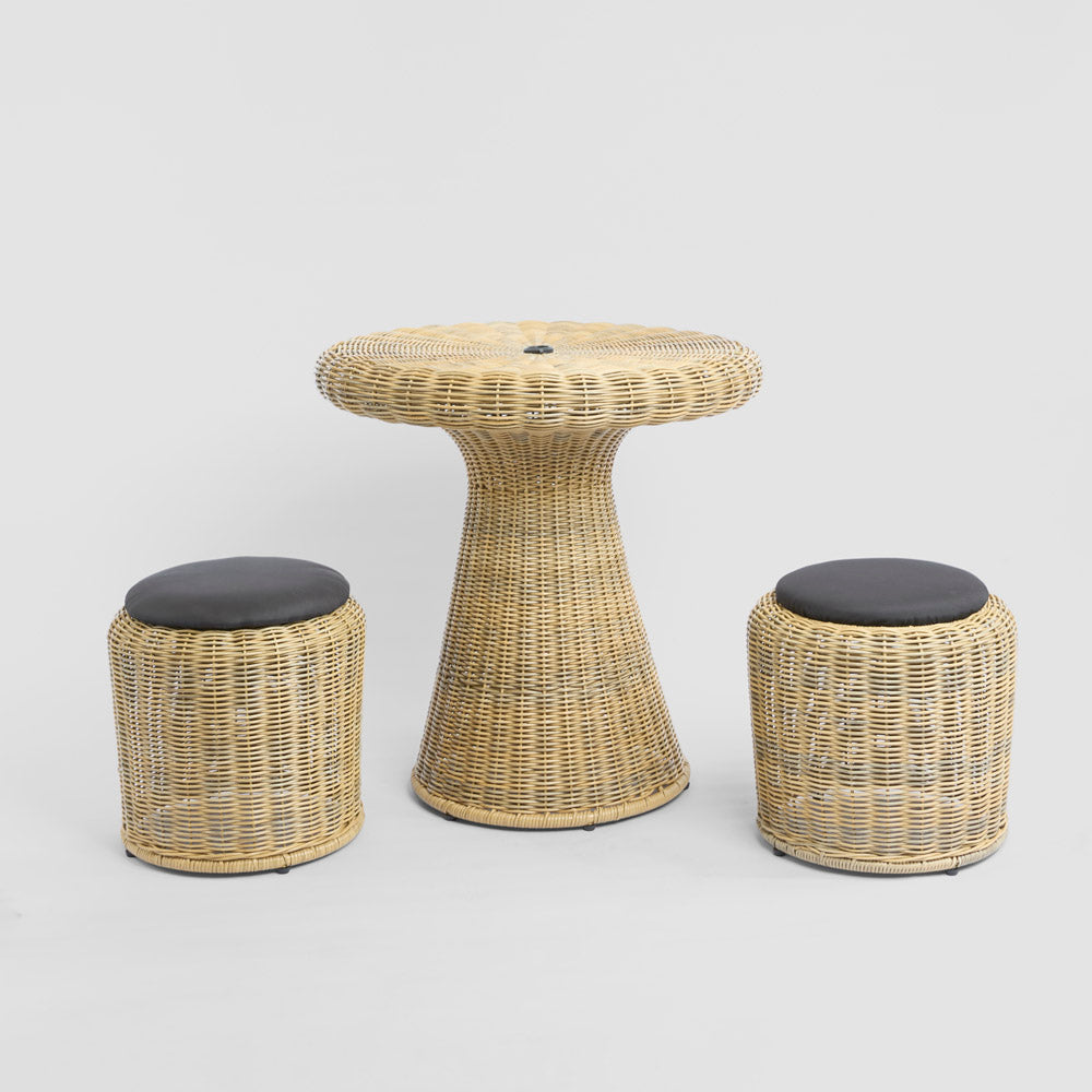 Saguaro Table Setting PE Rattan