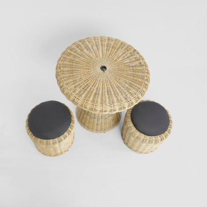 Saguaro Table Setting PE Rattan
