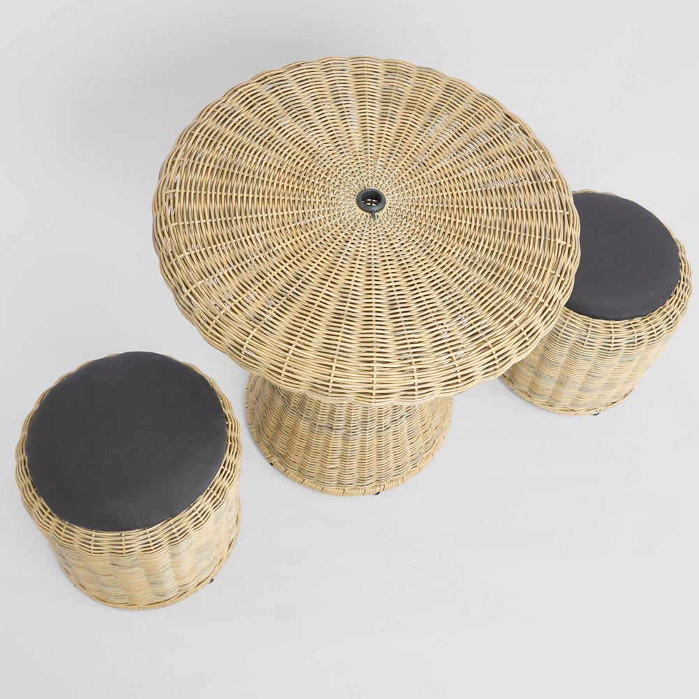 Saguaro Table Setting PE Rattan