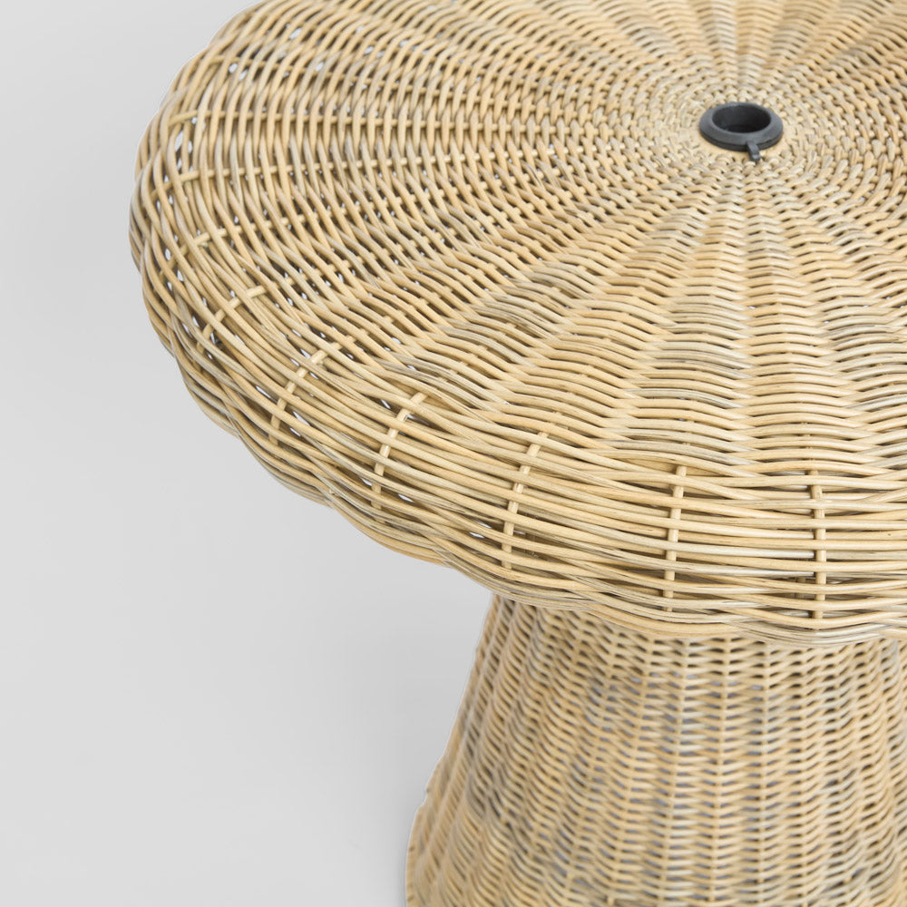 Saguaro Table Setting PE Rattan