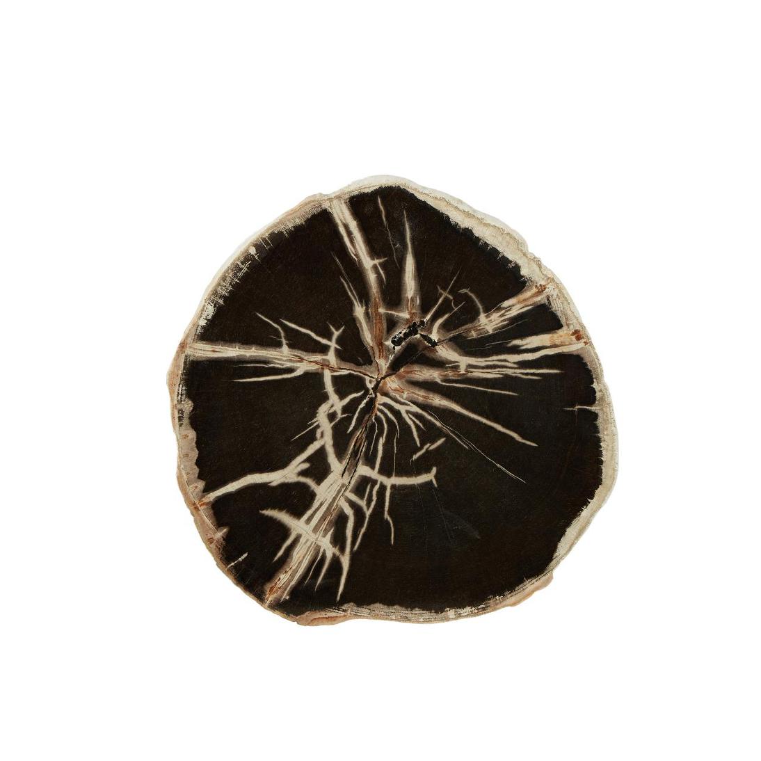 Niagra Petrified Wood Table