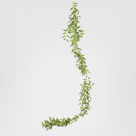 Garland Italian Ruscus