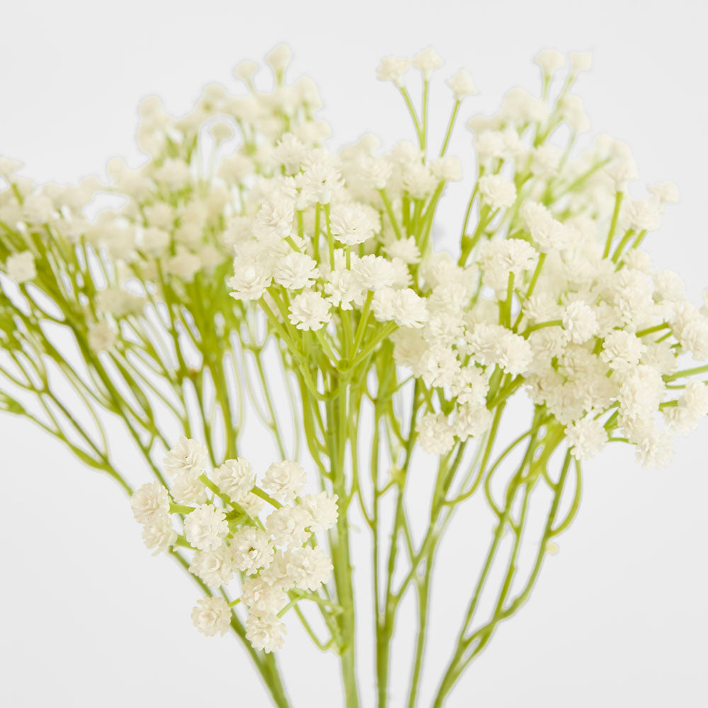 Baby's Breath White 40cm
