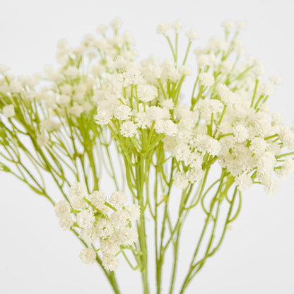 Baby's Breath White 40cm