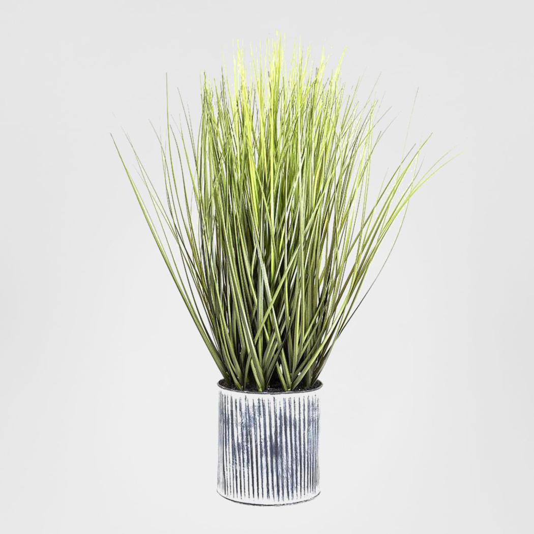 Grass in Pot 64cm