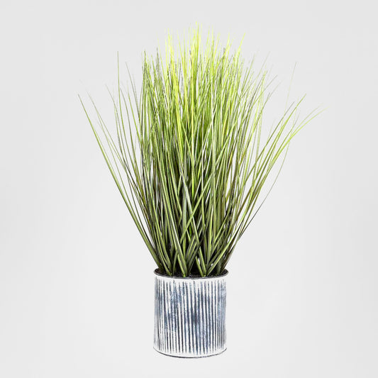 Grass in Pot 64cm