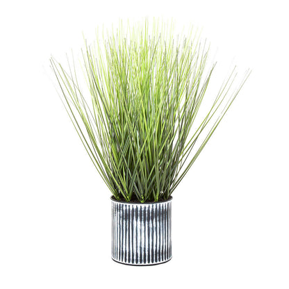 Grass in Pot 48cm