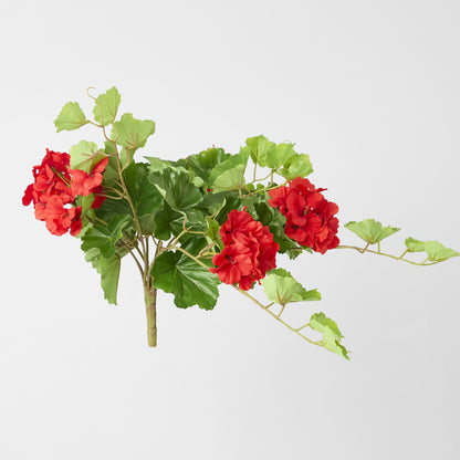 Trailing Geranium Bush Red UV Coated