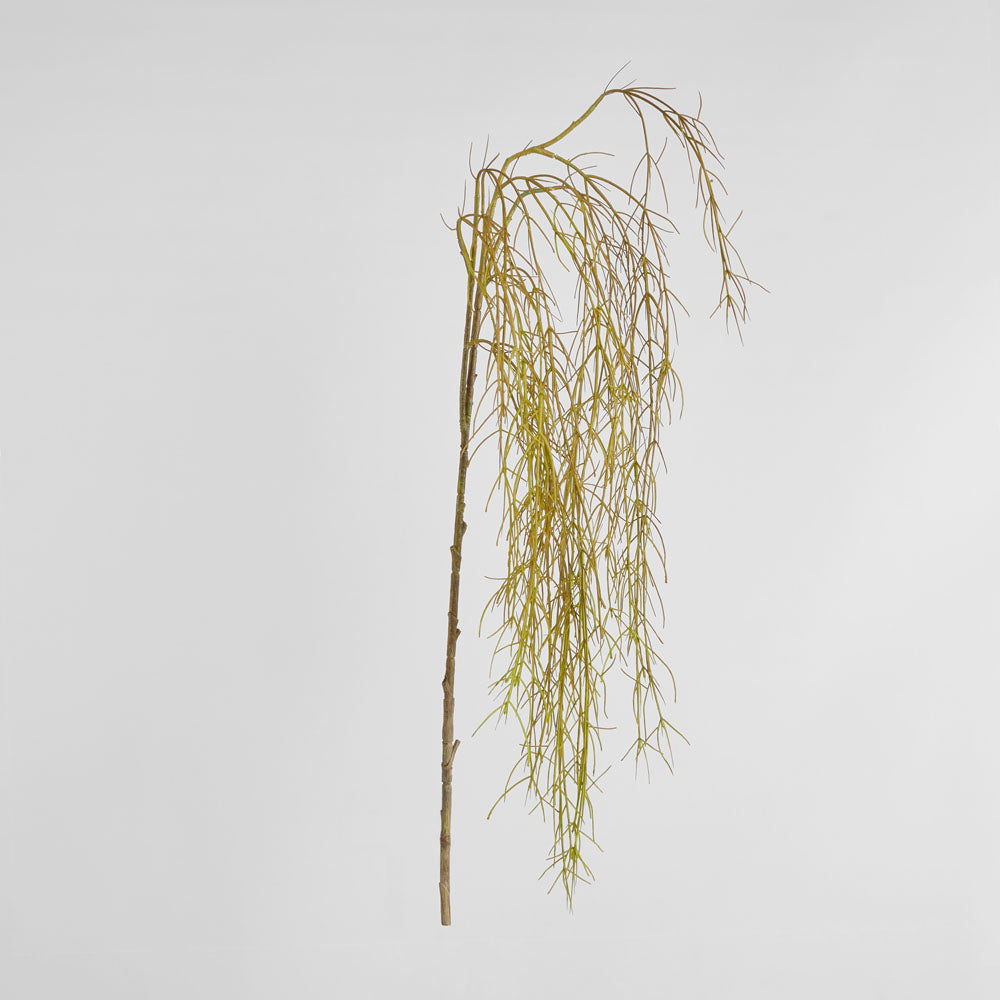 Coral Grass Green 156cm