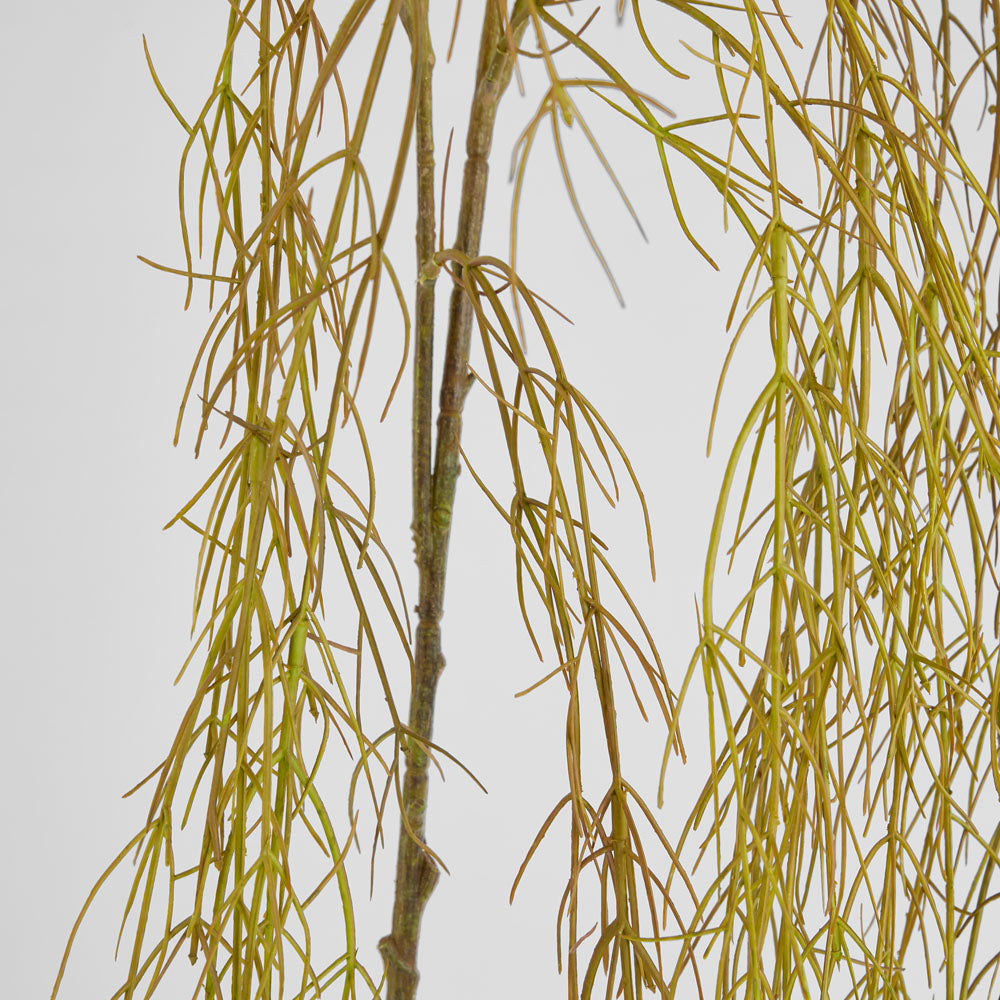 Coral Grass Green 156cm