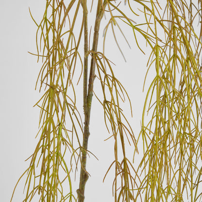 Coral Grass Green 156cm