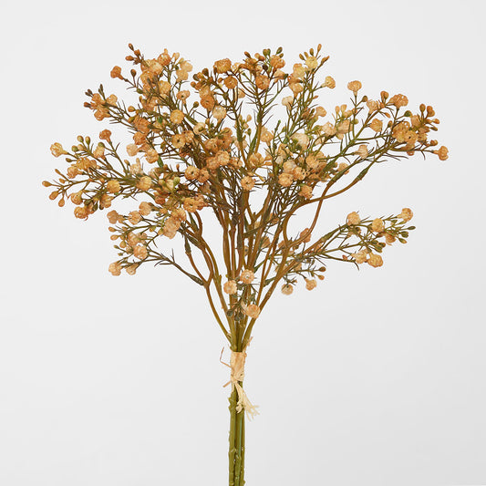 Baby's Breath Bundle Apricot