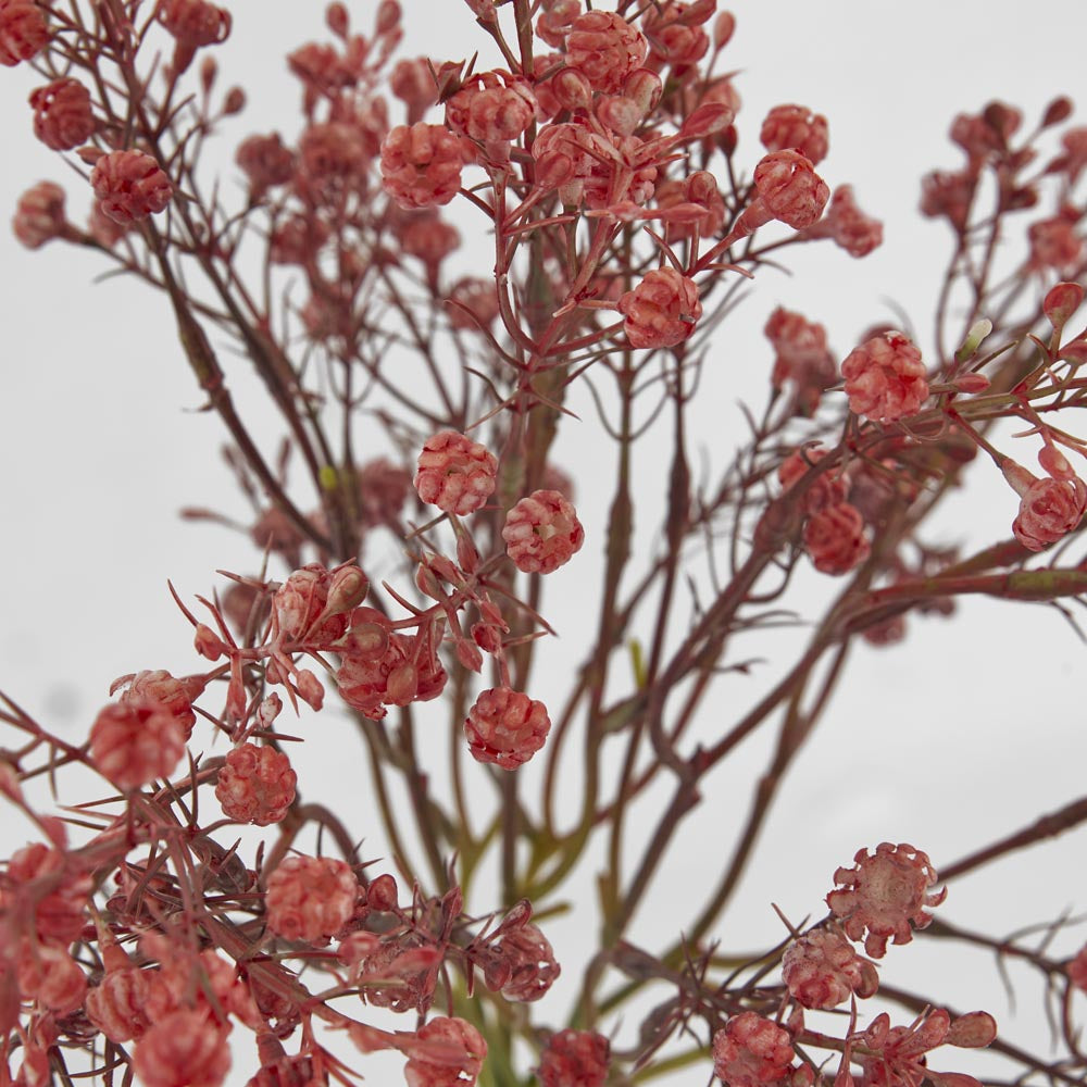 Baby's Breath Bundle Pink
