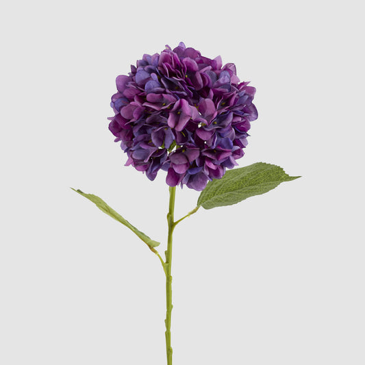 Claire Hydrangea Stem Purple