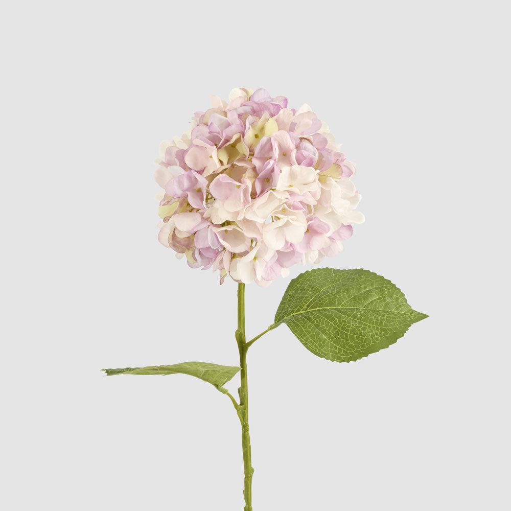 Claire Hydrangea Stem Pink
