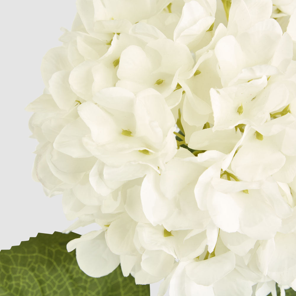 Claire Hydrangea Stem White
