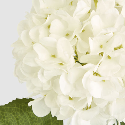 Claire Hydrangea Stem White