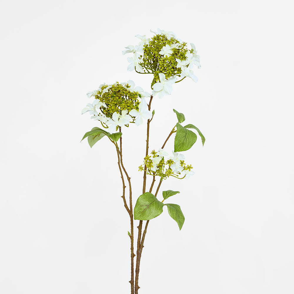 Lace cap Hydrangea Spray 70cm White