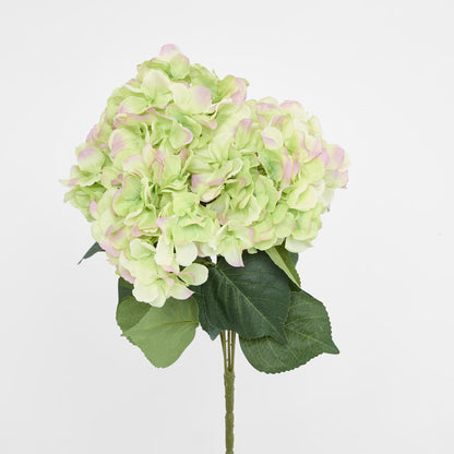 Hydrangea Bundle with Leaves 55cm Green & Pink