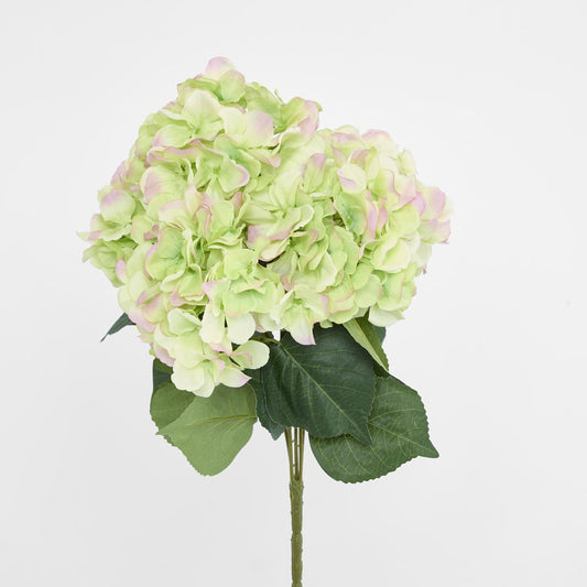 Hydrangea Bundle with Leaves 55cm Green & Pink
