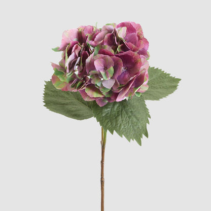 Hydrangea Large Stem With Leaves 75cm Dark Pink