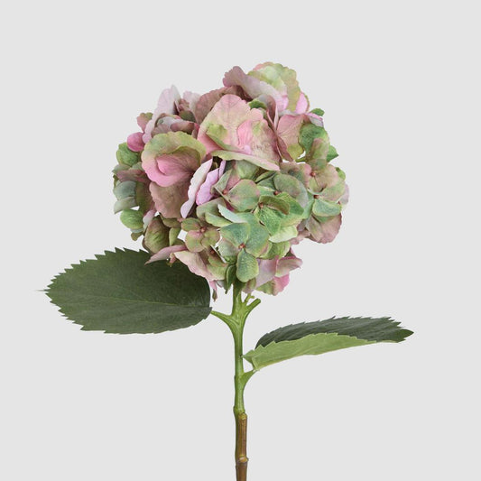 Hydrangea Large Stem With Leaves 75cm Light Pink