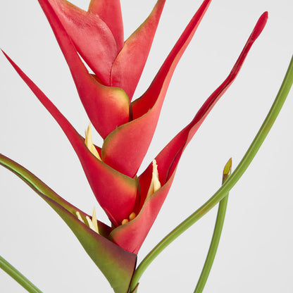 Heliconia 82cm Red
