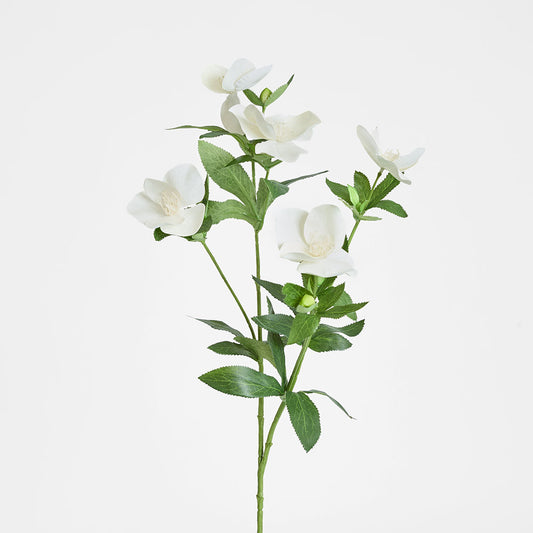 Helleborus Flower Spray 72cm White