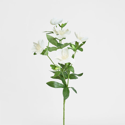 Helleborus Flower Spray 72cm White