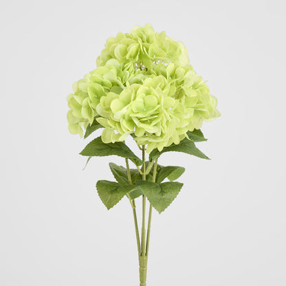 Fresh Touch Hydrangea Bunch Green