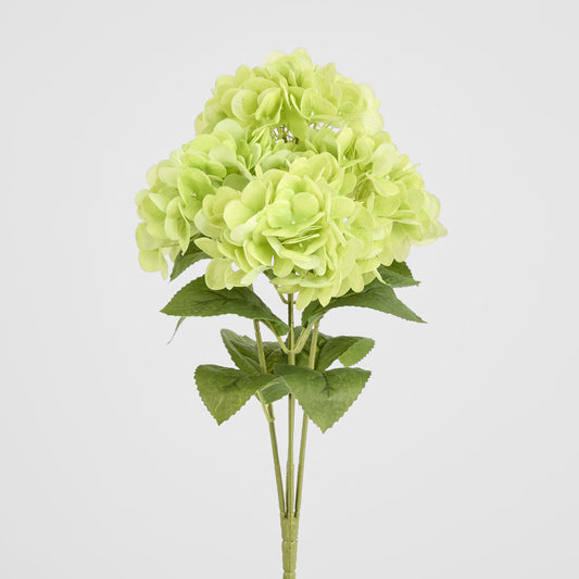 Fresh Touch Hydrangea Bunch Green