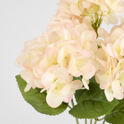Fresh Touch Hydrangea Bunch Light Pink