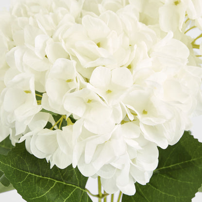 Yasmin Hydrangea Bunch White