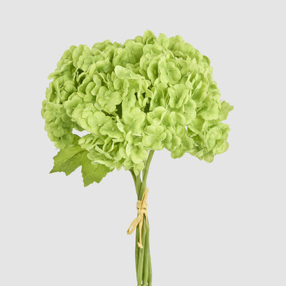 Mini Hydrangea Posy Green