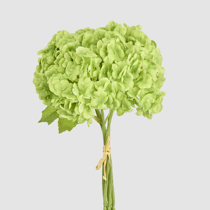Mini Hydrangea Posy Green