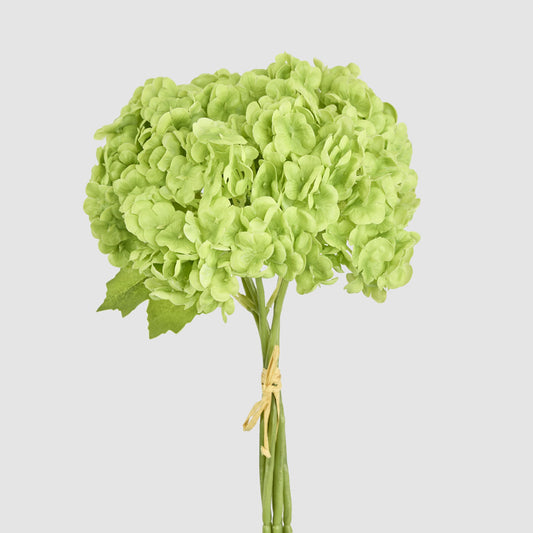Mini Hydrangea Posy Green