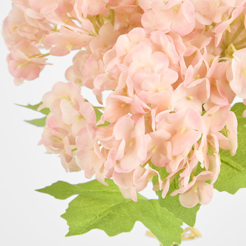 Mini Hydrangea Posy Pink