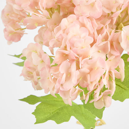 Mini Hydrangea Posy Pink