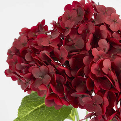 Real Touch Hydrangea 5 Head Bunch Burgundy
