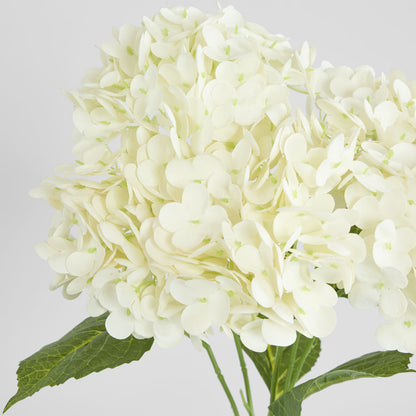 Real Touch Hydrangea 5 Head Bunch White