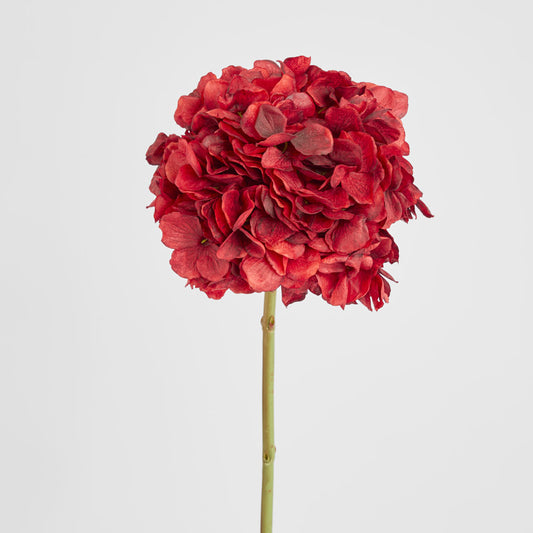 Hydrangea Flower Stem 48cm Burgundy