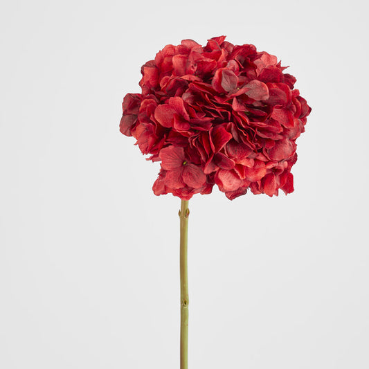 Hydrangea Flower Stem 48cm Burgundy