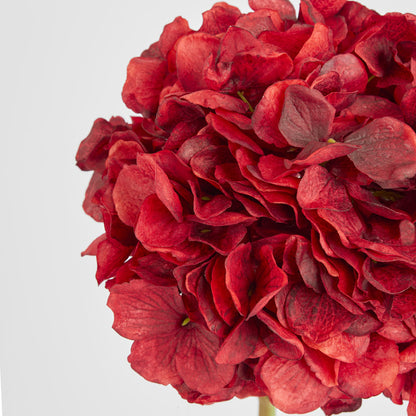 Hydrangea Flower Stem 48cm Burgundy