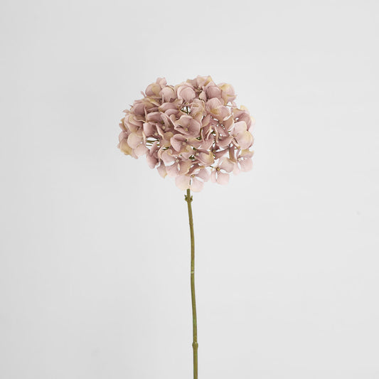 Hydrangea Mauve 72cm