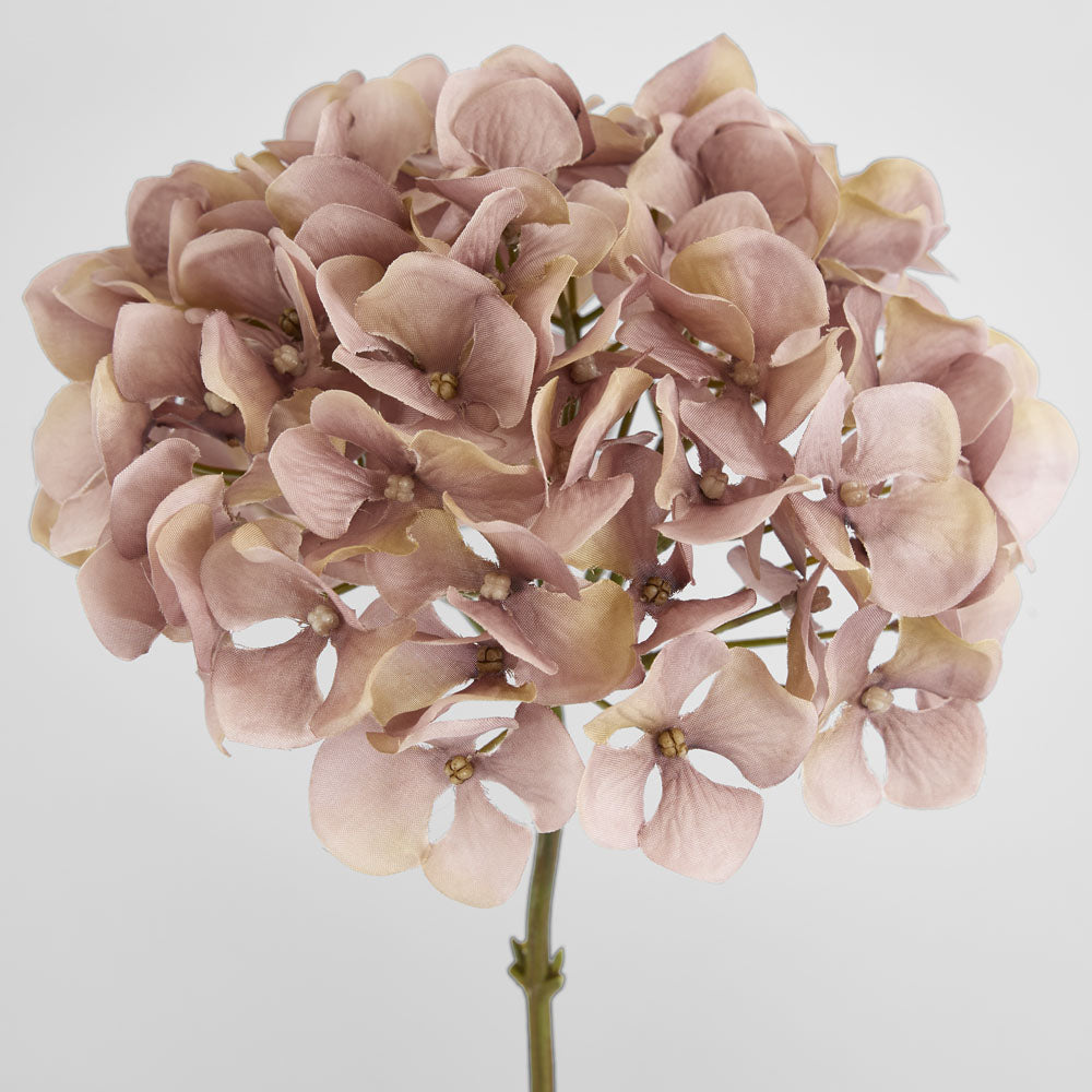 Hydrangea Mauve 72cm