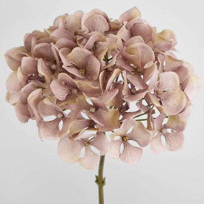 Hydrangea Mauve 72cm