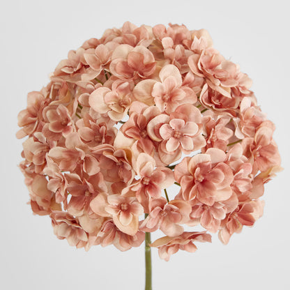 Hydrangea Pink 74cm