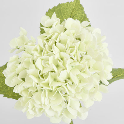 Hydrangea Real Touch White 63cm