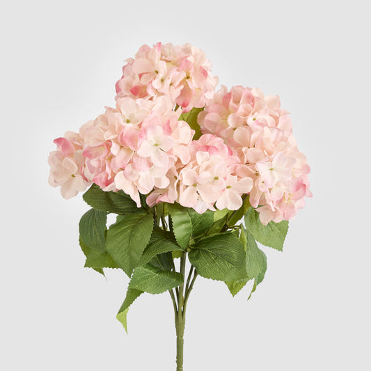 Hydrangea Bush With 7 Heads Pink