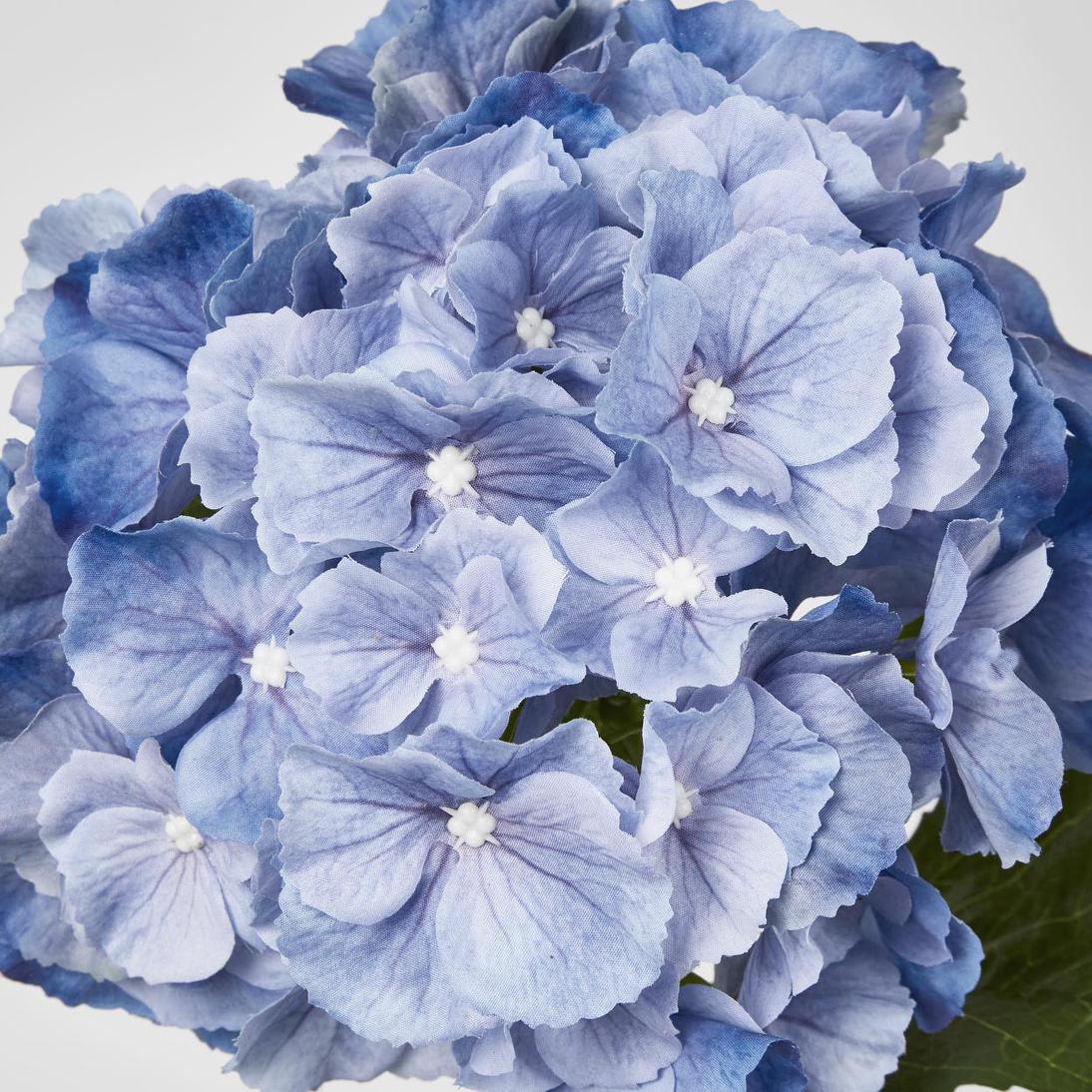 Susan Hydrangea Soft Touch Blue
52cm